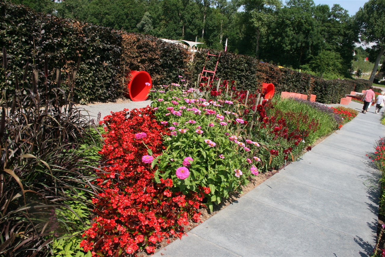 IMG_3602